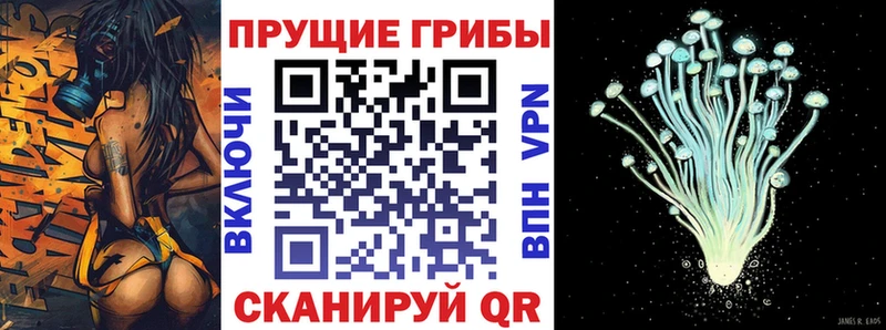 Купить где  Балаково  Псилоцибиновые грибы Psilocybine cubensis 